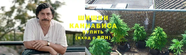 ГАЛЛЮЦИНОГЕННЫЕ ГРИБЫ Арсеньев